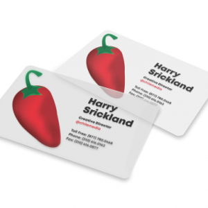 20pt Plastic Business Cards | Waterproof, Durable, and Professional